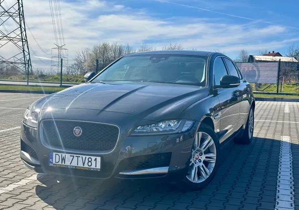 wielkopolskie Jaguar XF cena 80000 przebieg: 115509, rok produkcji 2016 z Kraków